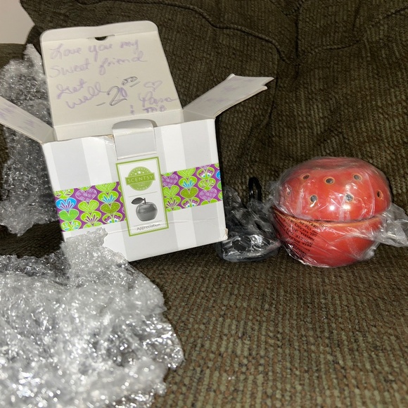 Scentsy pot - Picture 1 of 1